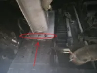 Secondary slider image4